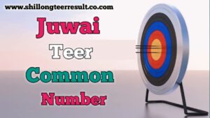 Juwai Teer Common Number