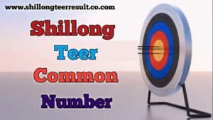 Shillong Teer Common Number